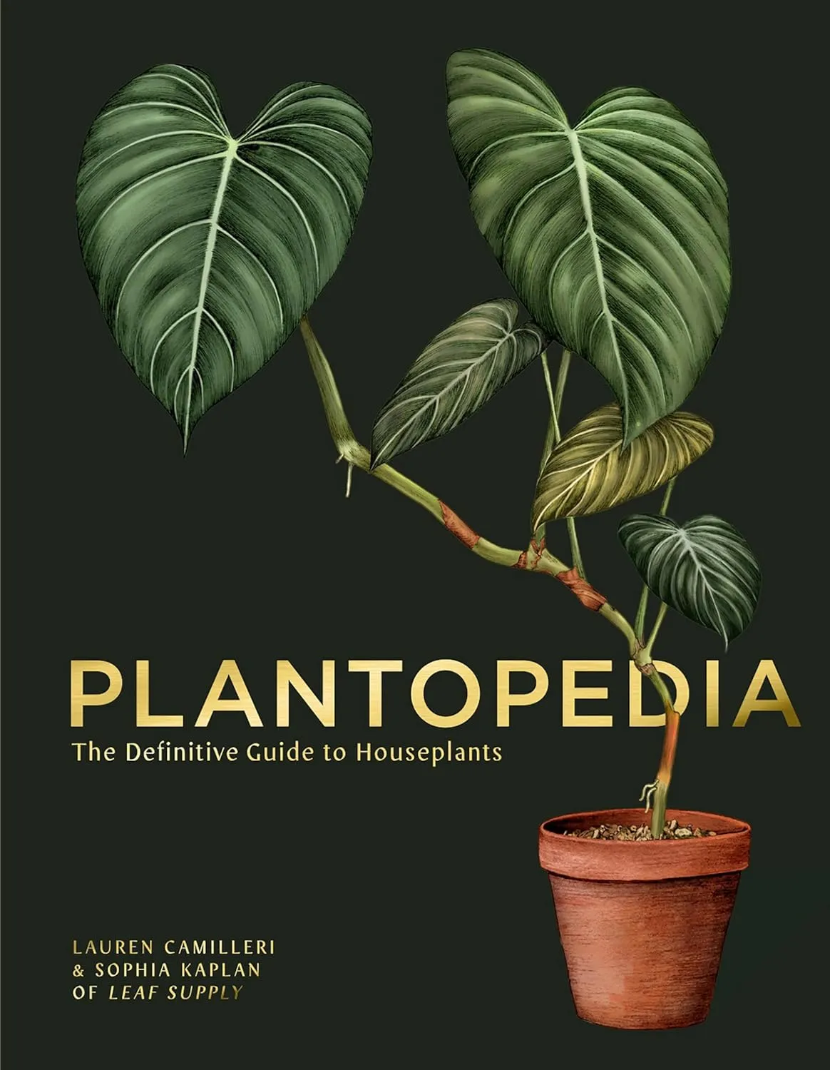Plantopedia: The Definitive Guide to Houseplants Hardcover  October 27, 2020
